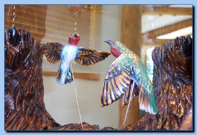2-46  humming bird-archive-0004